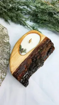 Wood_N_Sea в дереве №1
