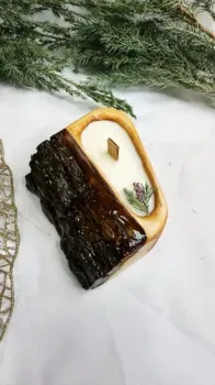 Wood_N_Sea в дереве №2