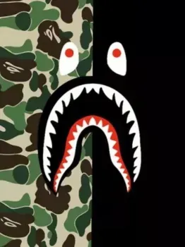 PaintLine Bape Camouflage PL-00265