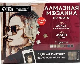 Школа талантов Vintage 10699407