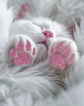 Феникс+ Котолапки 68591