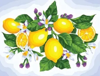 Три совы Лимоны КХ4050_53908