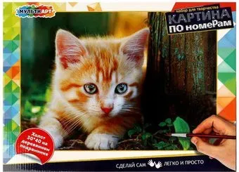MultiArt Рыжик CANV30X40-MULTI3