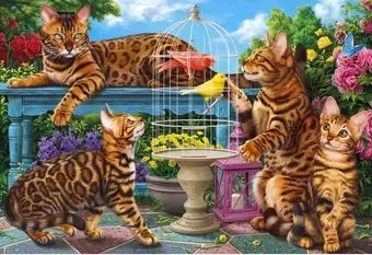 Рыжий кот Бенгальские коты НД-0538