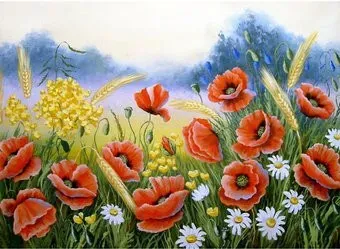 Рыжий кот Маки в поле НД-0557