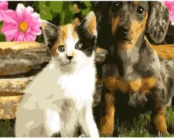 Darvish Котенок и щенок DV-9516-19