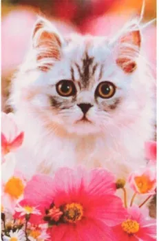 Darvish Котенок в цветах DV-9516-6