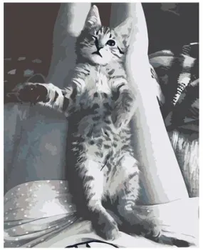 SLAVINA Сонный котик Z6698