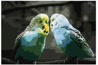 SLAVINA Волнистые попугайчики KTMK-birds012