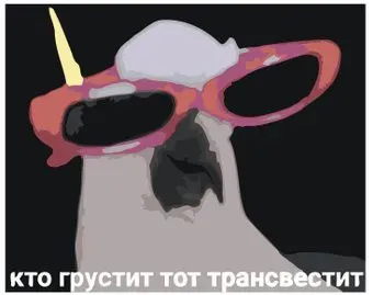 SLAVINA Попугай Мем MEM-03