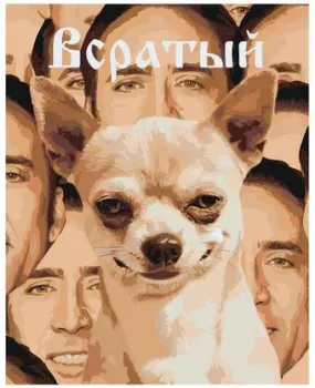 SLAVINA Мем Николас Кейдж LI-01