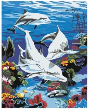 SLAVINA Дельфины в кораллах KRYM-AN18