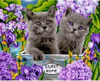 ArtCity Британские котята DP045
