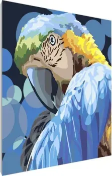 PaintLine Попугай 2037283452163