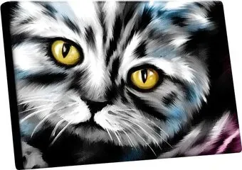 Школа талантов Котик 5248138