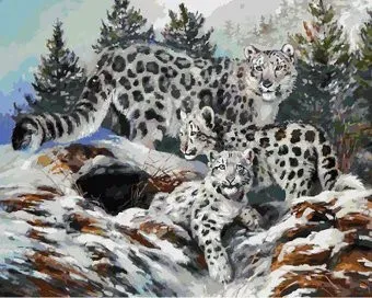 Белоснежка Ирбисы 184-AB
