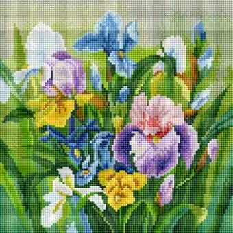 Белоснежка Нежные ирисы 362-ST-S