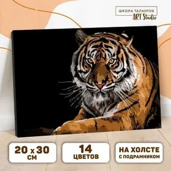 Школа талантов Тигр 5177165