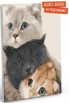 Hobruk Три кота MP0041