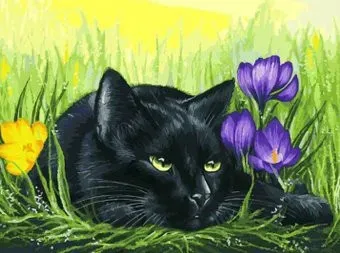 Белоснежка Кот и крокусы 113-AS