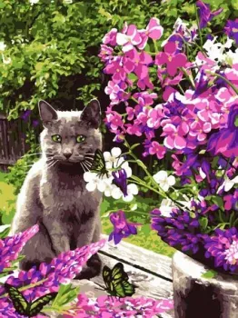 Lori Любимый котик Кпн-021