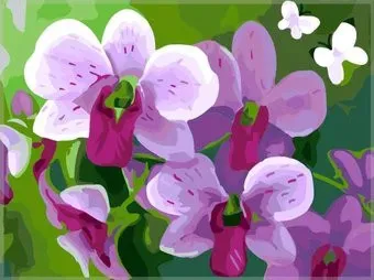 PaintBoy Розовые орхидеи GX7263