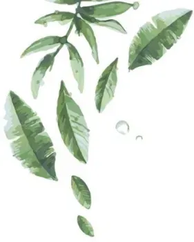 PaintBoy Зеленые листья GX5807