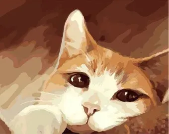 PaintBoy Кот Рыжик GX7452