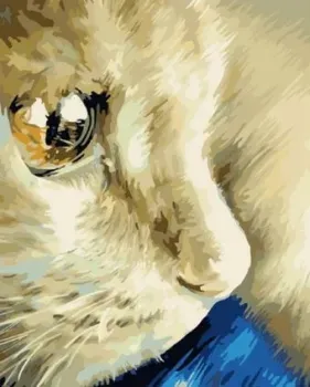 PaintBoy Кошачьи думы GX7453