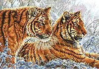 Белоснежка Амурские тигры 2333-14