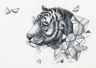 Панна Геометрия. Тигр J-7089