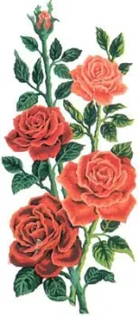 Grafitec 8.014 Алые розы