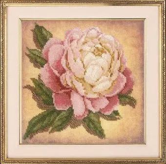 Риолис Пион 71РТ