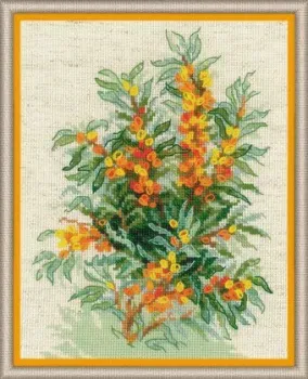 Риолис Облепиха 1648