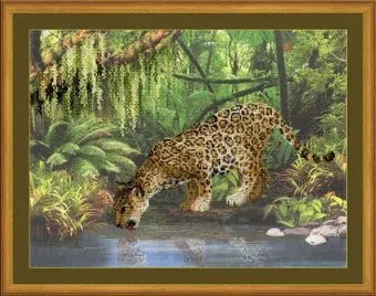 Риолис Леопард у воды РТ-0023