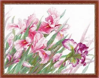 Риолис Ирисы 100/024