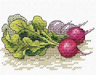 М.П.Студия Молодой редис 449