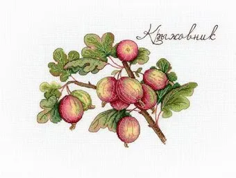 М.П.Студия Дары природы. Крыжовник 634