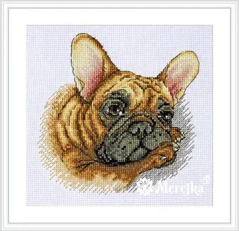 Merejka French Bulldog К-114