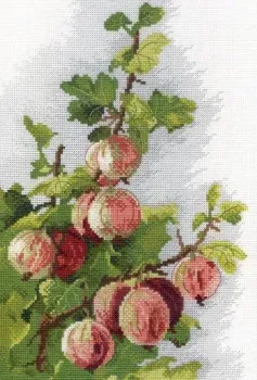 М.П.Студия Крыжовник НВ-364
