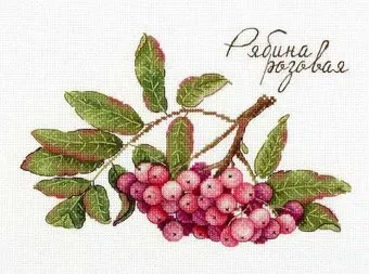 М.П.Студия Дары природы. Рябина розовая НВ-693М