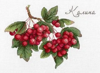 М.П.Студия Дары природы. Калина НВ-657М