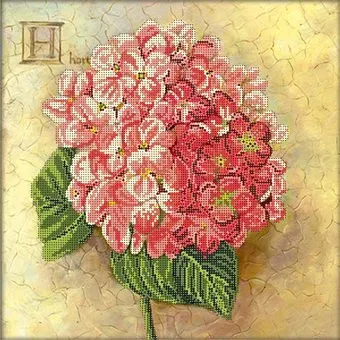 Глурия H - Гортензии 70351