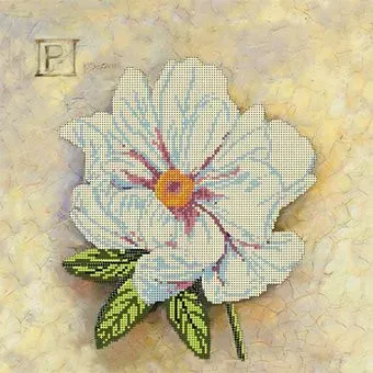 Глурия P - пион 70349