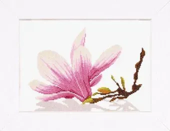 Lanarte PN-0008162(35109