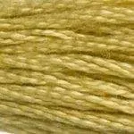 DMC D834 (оливково-золотой очень светлый)