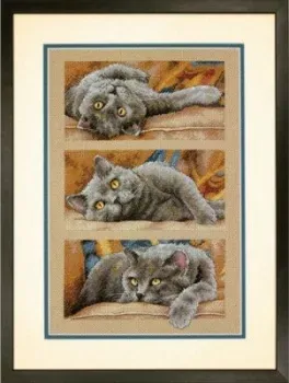 Dimensions Кот Макс 35301