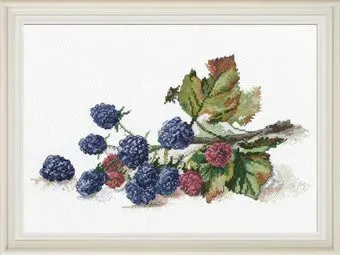 Овен Ветка ежевики 968