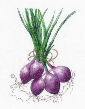 Овен Лук 1476