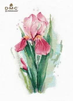 Овен Розовый ирис 1424